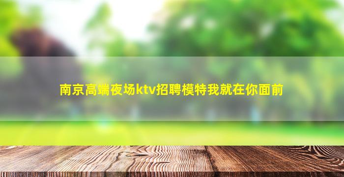 南京高端夜场ktv招聘模特我就在你面前